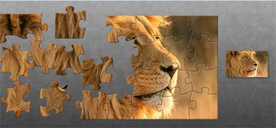 puzzle